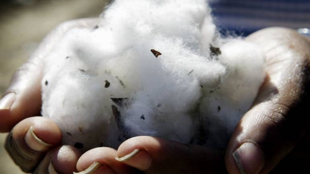 Cotton import from USA: BD sticks to its decision on fumigation checks